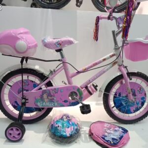 Home Kiddies bicycle